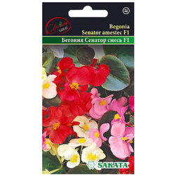 Image-product