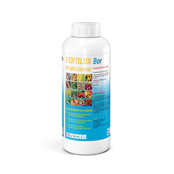 Image-product