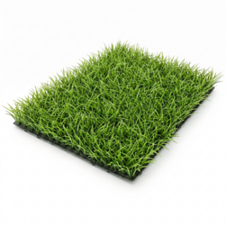 Image-product