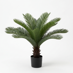 Image-product