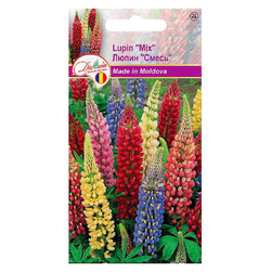 Image-product
