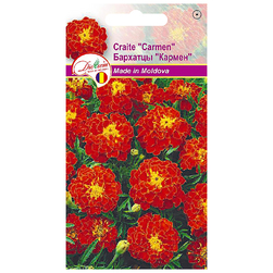 Image-product