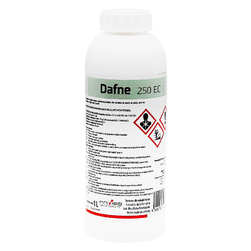 Image-product