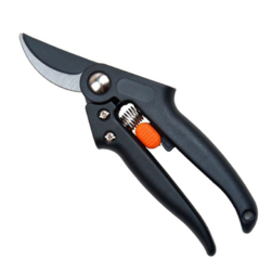 Image-product