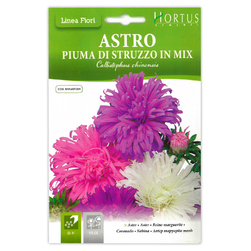 Image-product