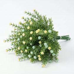 Image-product