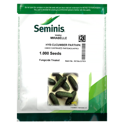 Image-product