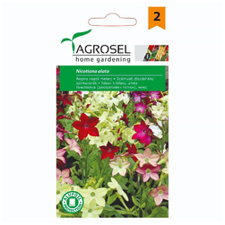 Image-product