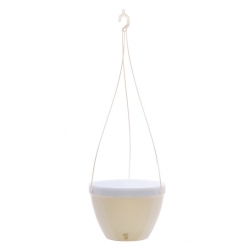 Image-product
